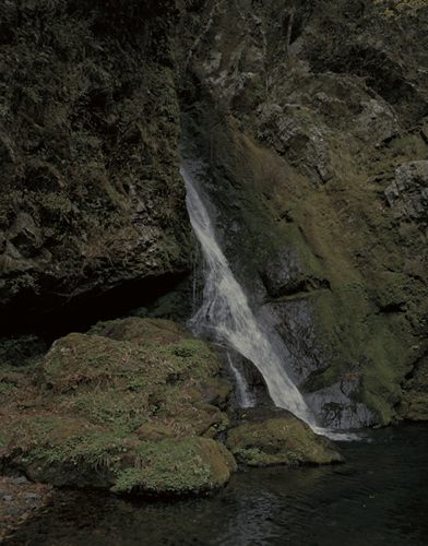 WILD NATURE01